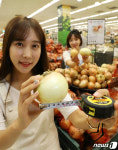 양파 소비 촉진 대과 양파 싸게 사세요