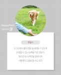 [펫카드]반려동물과 함께하는 자격증 뭐가 있을까