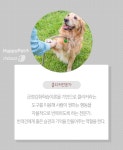 [펫카드]반려동물과 함께하는 자격증 뭐가 있을까