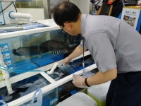 송파구 가락시장 대형횟집 위생특별점검…식중독 막는다