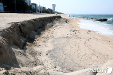 해마다 반복되는 동해안 해변침식…수백억 들여도 정상화 난망