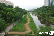 양재천에 힐링을 입히다 강남구, 1차 경관개선 완료