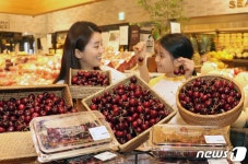 신세계백화점, 체리데이 맞아 워싱턴 주 체리 판매