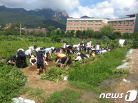 감자 캐고, 이웃과 나누고…도봉구 초등학생 농업체험