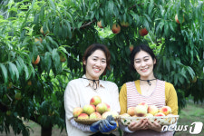 복숭아 유미 드셔보세요!