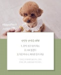 [펫카드] 반려동물과 오래 함께하고 싶다면 체중관리 중요