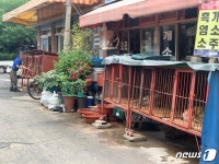 대구 칠성시장 개시장 폐쇄 9월 결정…복합상가 건립 추진