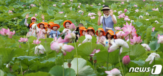 연꽃 찾은 어린이들