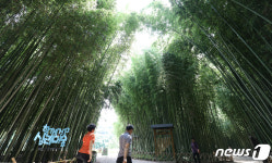 제2호 국가정원 지정된 태화강지방정원,십리대숲에서 산책