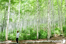 킹덤 시즌2도…강원 인제 수려한 비경 TV촬영지로 각광