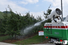 원주서 과수화상병 추가 확진…농가·방역당국 긴장