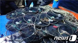 동해어업단, 연중 포획 금지 암컷대게 불법포획 어선 검거
