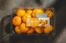 이마트, 제주 하우스감귤 40% 할인…8880원에 판다  