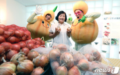 고창 햇양파, 직거래로 믿을 수 있어요