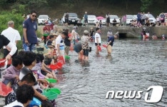 황금다슬기를 잡아라…순천시 주암면, 다슬기 축제