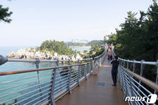 추암 출렁다리서 동해바다 절경 감상