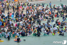 [화보]포항 구룡포서 맨손으로 오징어잡기 이벤트