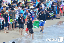 [화보]포항 구룡포서 맨손으로 오징어잡기 이벤트