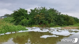 청주 오창 용두천 일대 거품발생…당국 조사 중