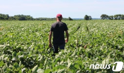 트럼프 농가 구한다며 퍼준 돈…큰 농장이 혜택 더 봤다