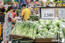 채솟값·유가하락...소비자물가 7개월째 0%대