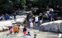 계곡에서 폭염을 잊어요