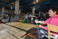 포항 아침 최저 28.1도…13일째 열대야 이어져