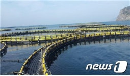 참치·연어 양식에 한해 대규모 자본 진입 허용