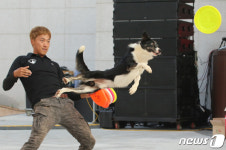 청도 반려동물 콘서트서 선보인 애견 훈련 시범