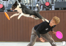 청도 반려동물콘서트 멋있게 잡아