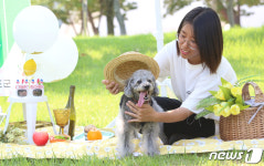 [화보]경북 청도에서 열린 반려동물콘서트