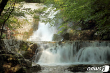 자연이 만든 에어콘