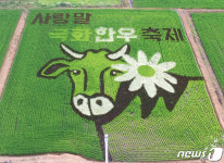 사랑말 한우축제 홍보 유색벼 팜아트