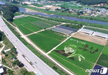 건강놀이터 홍천 홍보하는 유색벼