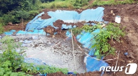 괴산군, 가축분뇨 무단 배출 농장주 검찰 고발