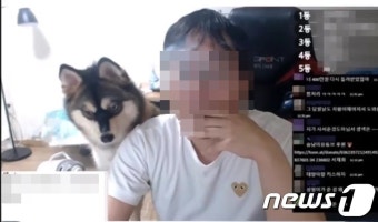 인터넷 방송서 반려견 학대한 유튜버 기소의견 검찰 송치