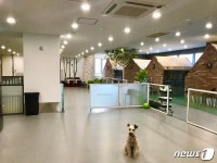 프리미엄 펫케어 테마공간 바우라움 서울숲 오픈…400평 규모