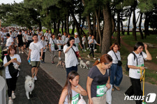 댕댕이와 함께 걷는 솔밭길