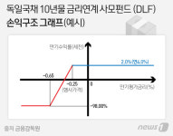 금감원, 원금 다 날린 독일 국채금리 DLF 정조준 하나