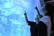 동서식품, 자양종합사회복지관 아이들과 여름 나들이 나서