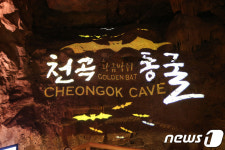 동해시 천곡황금박쥐동굴 VR체험 지지파크 조성