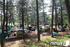 전남도, 야영장 안전관리 부적정 43건 적발