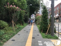 서울 중구 충무초등학교 통학로는 꽃·나무 천지