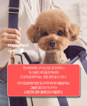 [펫카드]가을 다가오니 괜찮다? 땡볕에 강아지 산책 위험