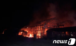 전남 장성 앵무새 체험 동물원 화재…인명피해 없어