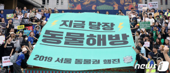 지금 당장 동물해방