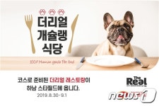강아지도 코스요리 먹어요…30일 더리얼 개슐랭 식당 연다