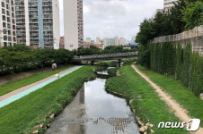울산 남구, 여천천-태화강 연계 산책로·자전거도로 조성 계획