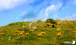 서산시, 관광사진 전국 공모전 개최