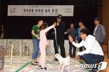 추석연휴 반려견 돌봐 드려요 노원구청 강당 쉼터 운영